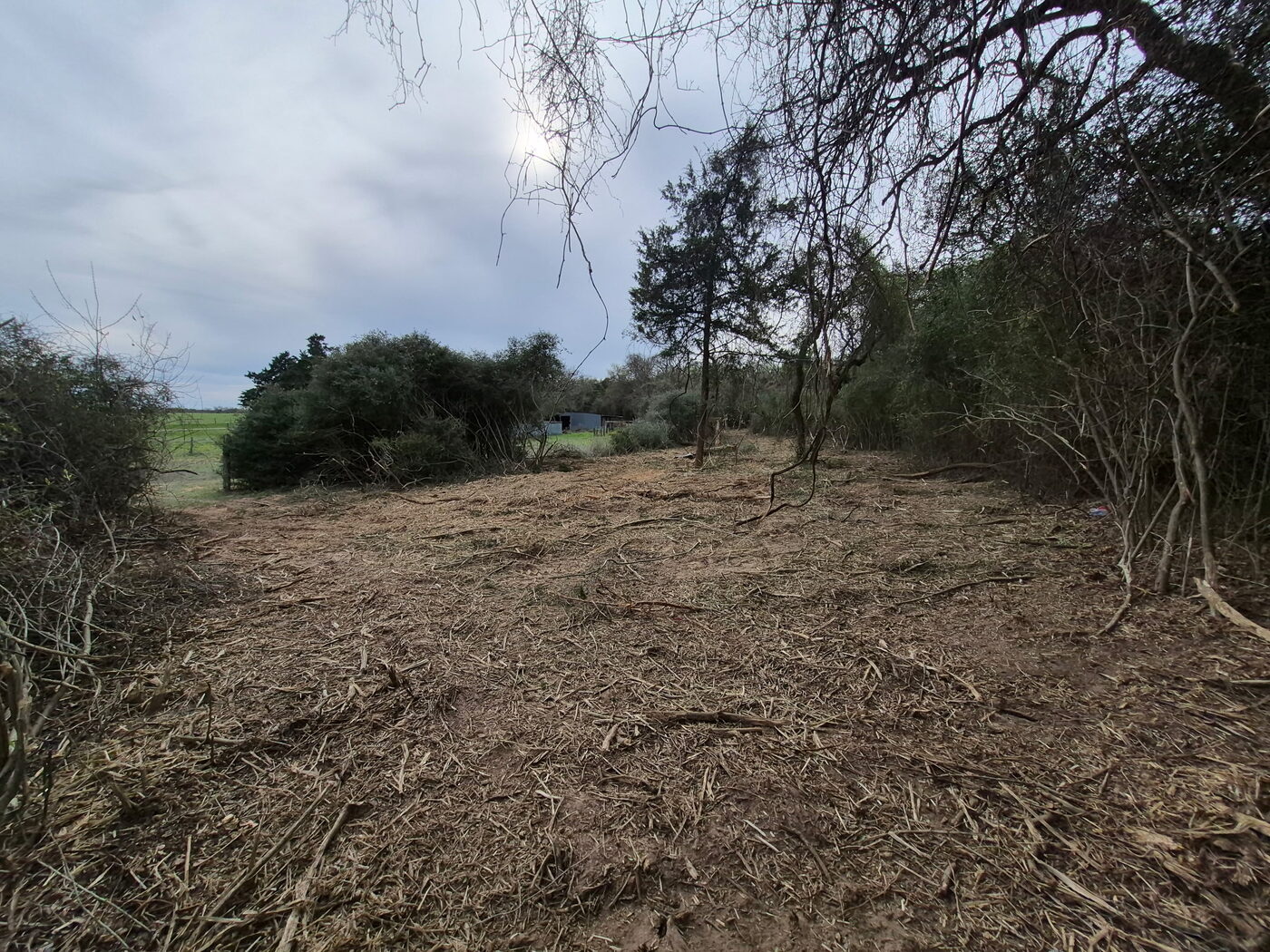 Open acreage after cleanup